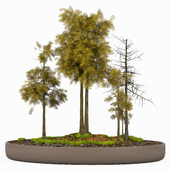tree model