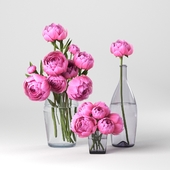 Bouquet of pink peonies in vases. Compositions of pink peonies in decorative vases