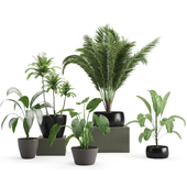 set of plants01