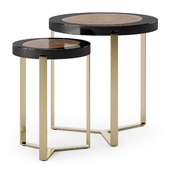 Coffee Tables Caracole The Naturalist End Table