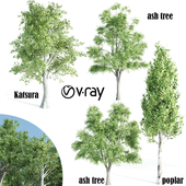 tree set- vray