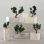 Marble Flower Pot Collection