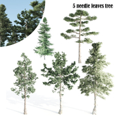 5 pines(needle leaves) tree