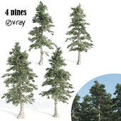 4 pines-vray