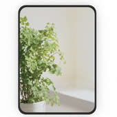 Rectangular mirror in a metal frame