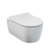 SSWW CT2063 wall hung toilet