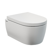 SSWW CT2038 wall-hung toilet