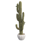 Saguaro Cactus Pot