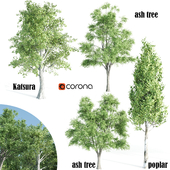 4 tree set corona