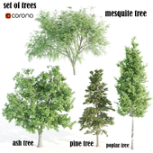 set  of trees 06