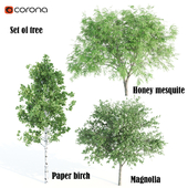 set of tree 08- corona