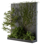 Outdoor Green Wall with Garden ivy