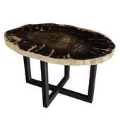 Fossil wood 49 coffee table