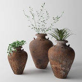 Plants with pottery 1