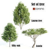 set of tree 013