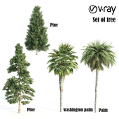 set of tree 12 vray