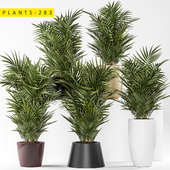plants 283