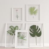 IKEA Frames Set With Plants
