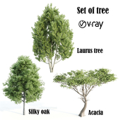 set of tree 013 vray
