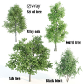 set of tree 09 vray