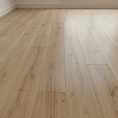 Laminate. Parquet. 159