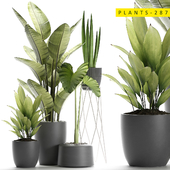 plants 287