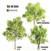 set of tree 015- corona