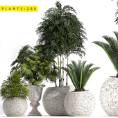plants 289