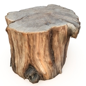 Wood stump