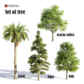 set of tree016-corona