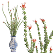 Ocotillo Spring & Vase