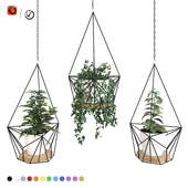 Plants in hanging planters ARCHPOLE Shuttle2