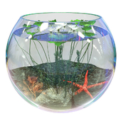 Aquarium water lily