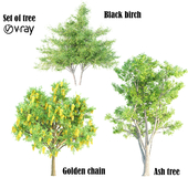 set of tree 21-vray