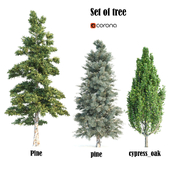 set of tree-024