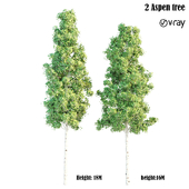 2 aspen tree vray