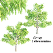 2 willow vray