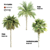 set of palms