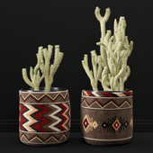 Flower Set_07 Cactus In Vase whit African Pattern