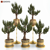 Decorative ornamental tree Set Vol 2