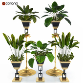 Decorative Plant Set Vol 1