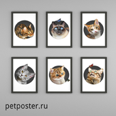 Постеры PetPoster