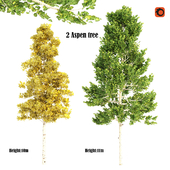 2 aspen tree fall & summer