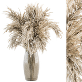 Dry plants 47 - Dried Plant Pampas Bouquet