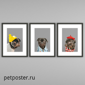 PetPoster posters