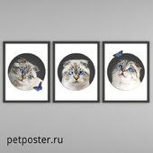 Постеры PetPoster