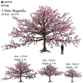 Set of magnolia tree