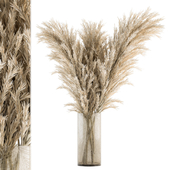 Dry plants 57 - Dried Plant Pampas Bouquet