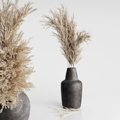 Dried Pampas Plant 01