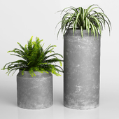 Green Plants in Rustic Grey Vases